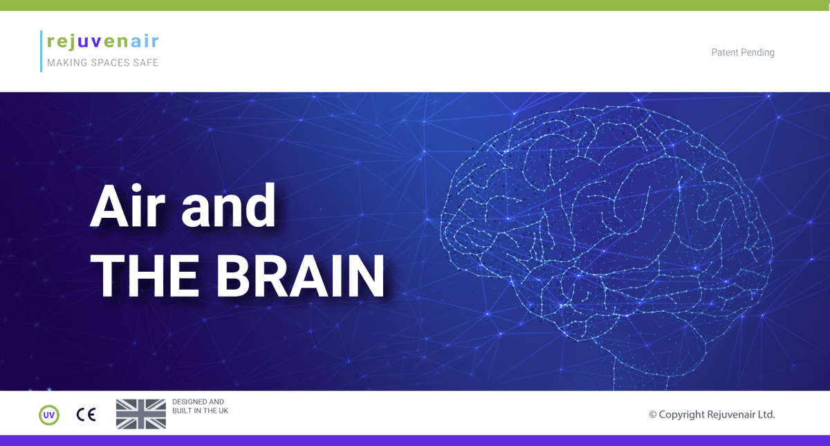 How Does Air Quality Affect Your Brain Rejuvenair