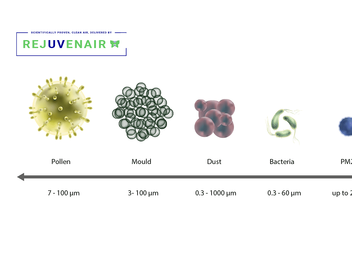 particle-sizes-and-filters-rejuvenair